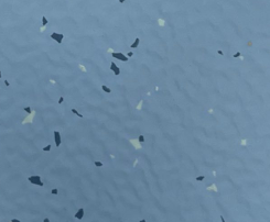 GEMMANEW Rubber Flooring – EL00017