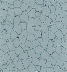GEMMANEW PVC Homogeneous Sheet Flooring – BE00610