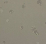 GEMMANEW Rubber Flooring – EL01005