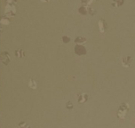 GEMMANEW Rubber Flooring – EL01015