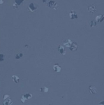 GEMMANEW Rubber Flooring – EL01019
