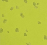 GEMMANEW Rubber Flooring – EL01021