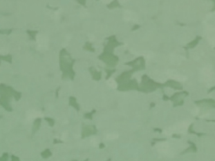 GEMMANEW PVC Homogeneous Sheet Flooring – BC0604