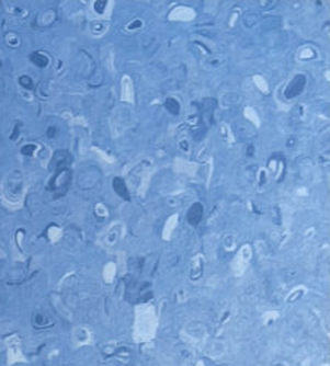 GEMMANEW PVC Homogeneous Sheet Flooring – BC0724
