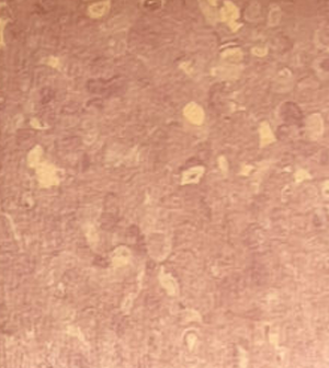 GEMMANEW PVC Homogeneous Sheet Flooring – BC0728