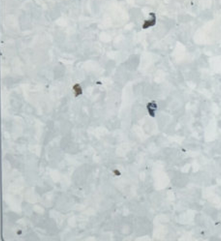 GEMMANEW PVC Homogeneous Sheet Flooring – BC2055