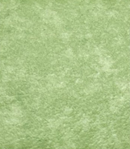 GEMMANEW PVC Heterogeneous Sheet Flooring – WG5859