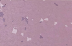 GEMMANEW Quartz Flooring – YG8072