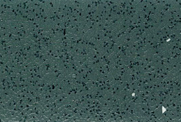 GEMMANEW PVC Quartz-Sand Wear-Resistant Flooring – ONE88589