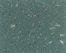 GEMMANEW PVC Quartz-Sand Wear-Resistant Flooring – ONE88952