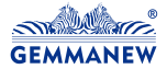 GEMMANEW